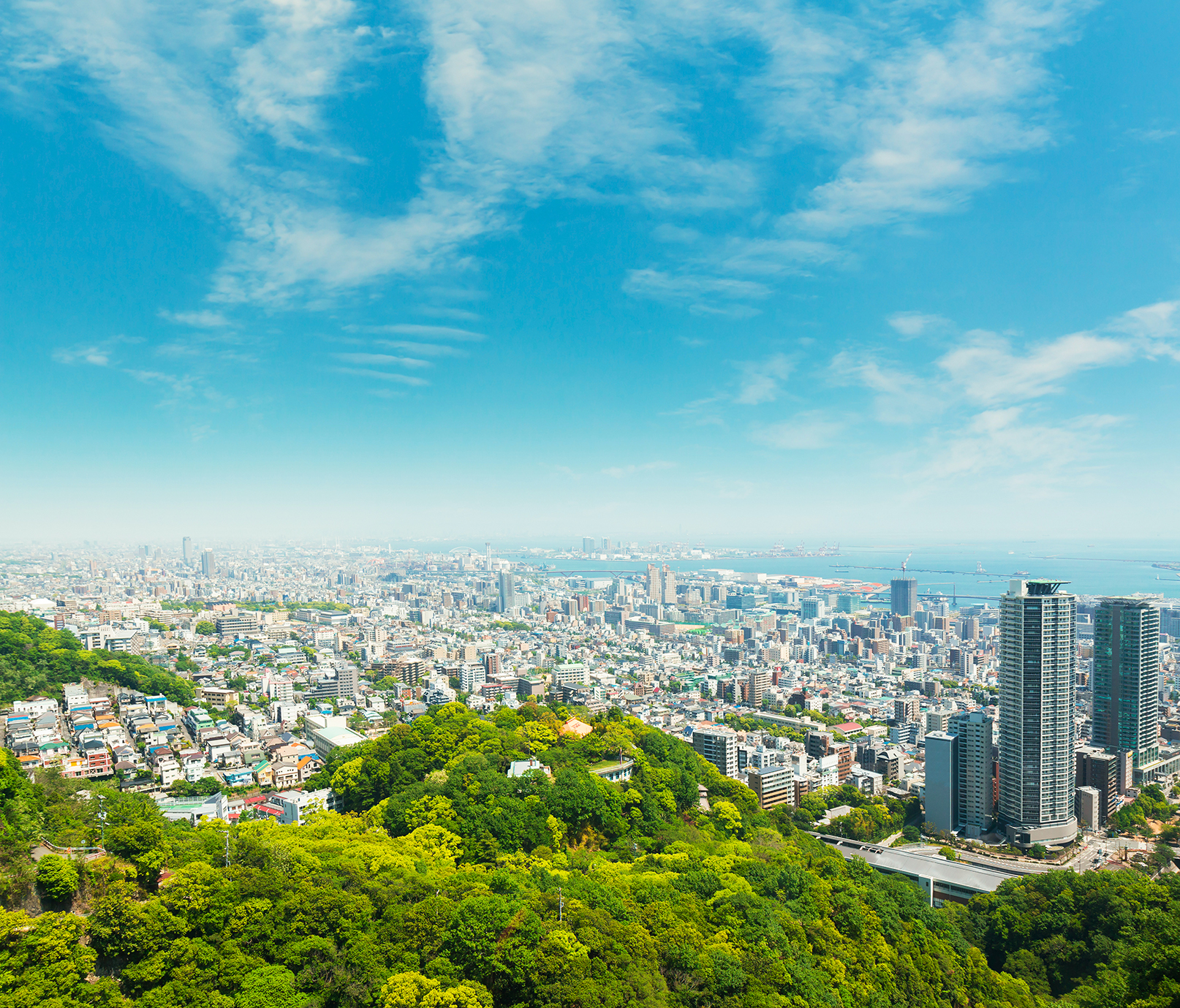 緑と街並みが広がる名古屋の風景