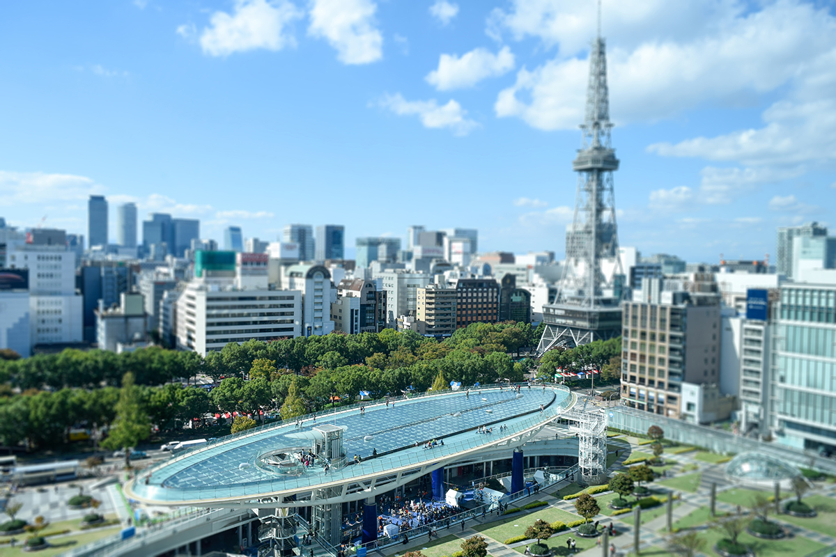地域に根ざした知見
